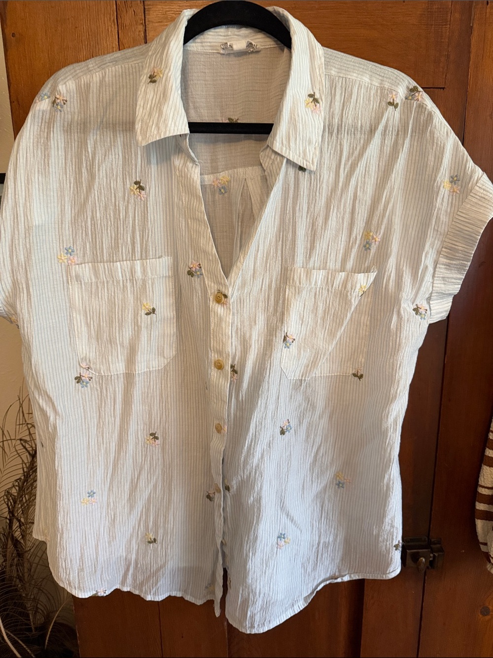 Blu Pepper Pale Blue Striped Short-Sleeve Button-Down with Floral Embroidery